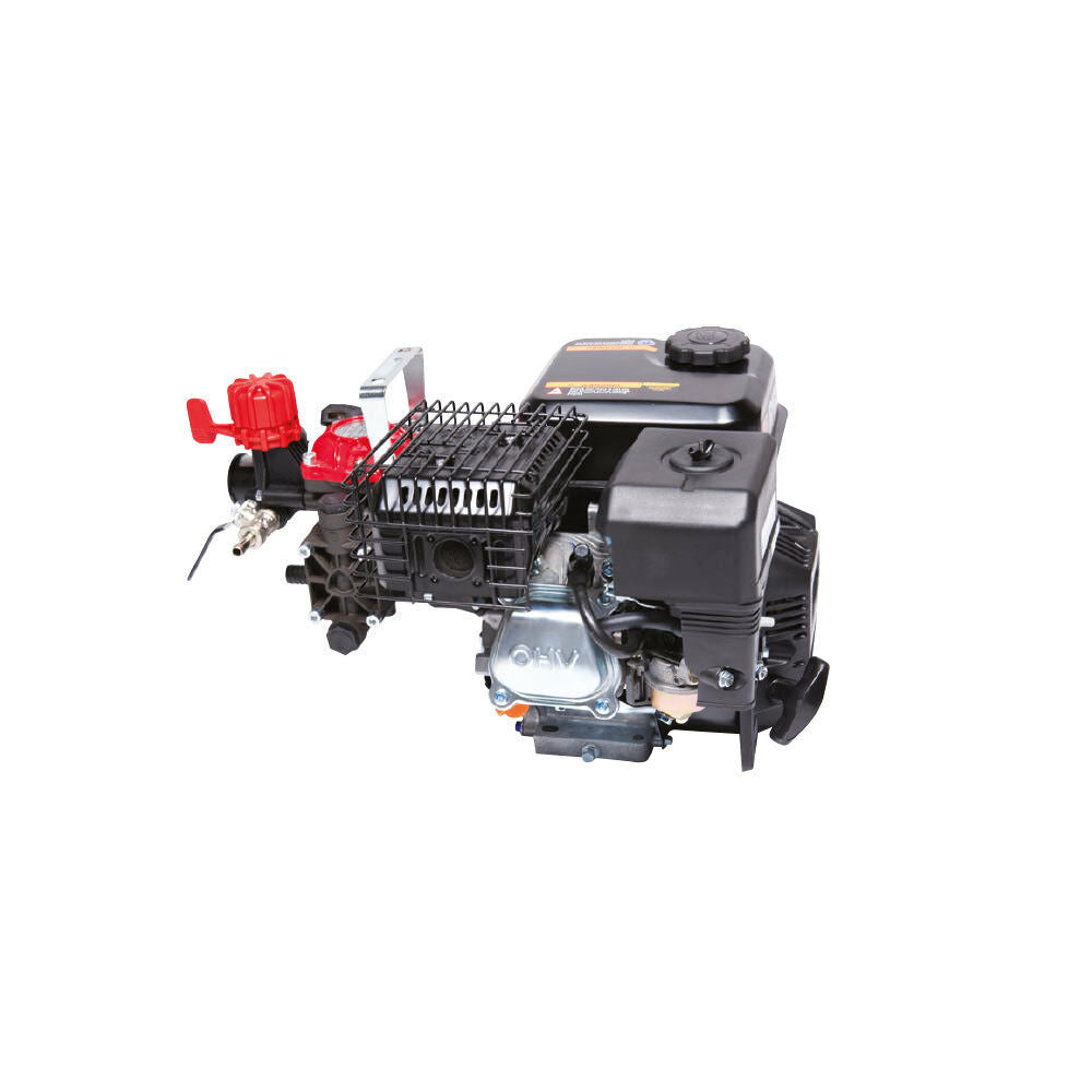 MOTOPOMPA A SCOPPIO MOTORE RATO R210 4T 5HP 25L/M POMPA AR202 25BAR 21,5KG