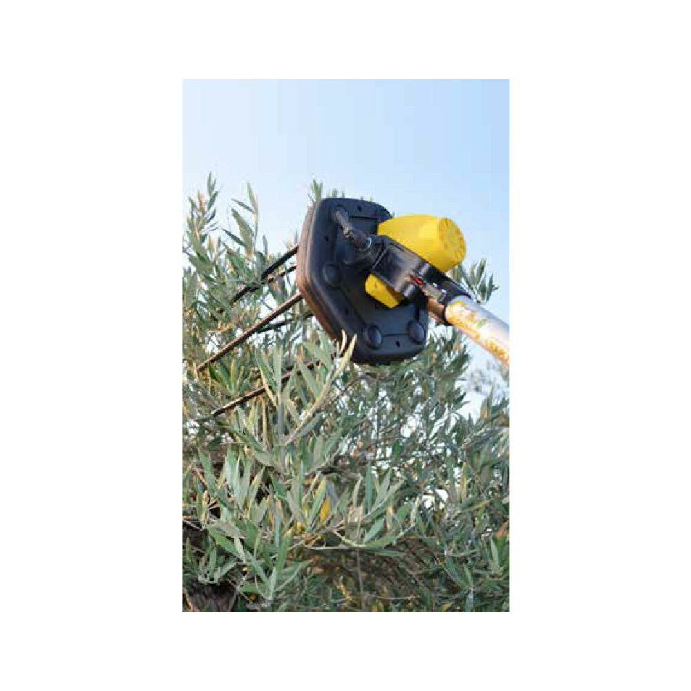 SCUOTITORE OLIVE ulivi ELETTRICO 48V VOLPI PLUS L + BATTERIA A LITIO a zaino