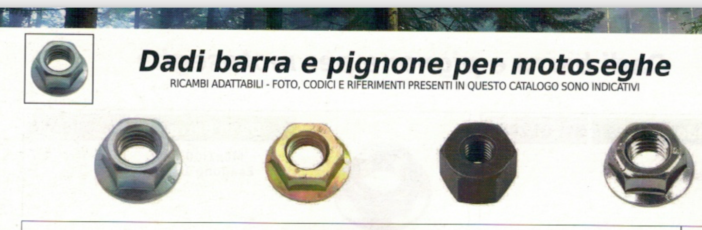 POMELLO VITE CARTER CATENA ELETTROSEGA GREENLINE GREENCAT HT 6311