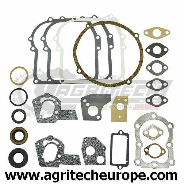 495602 397144 SERIE GUARNIZIONI BRIGGS & STRATTON Vecchi 3 3,5 HP orizzontali