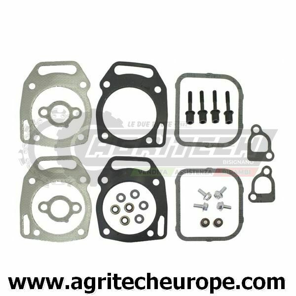 SERIE GUARNIZIONI BRIGGS & STRATTON Kit guarnizioni EX 808391