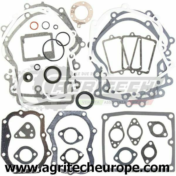 495868 SR GUARNIZIONI BRIGGS & STRATTON BOXER BICILI VERT E ORIZ 400 402 422 42A