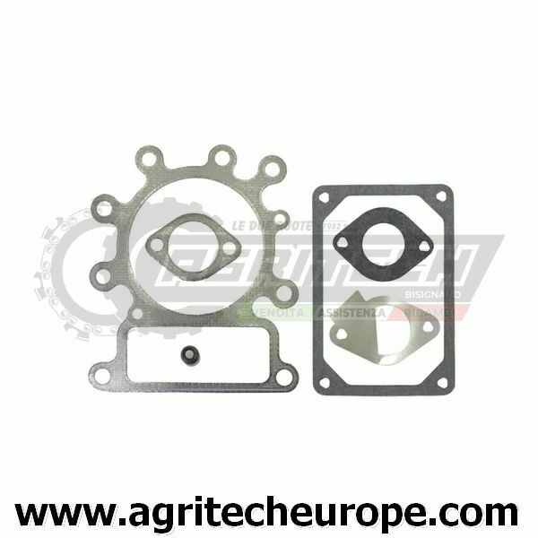SERIE GUARNIZIONI BRIGGS & STRATTON testa EX 795807