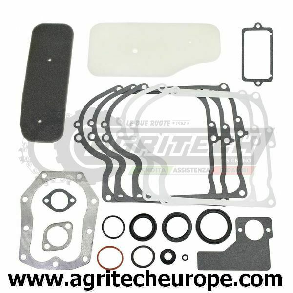 393411 SERIE GUARNIZIONI BRIGGS & STRATTON VECCHI 10 11 HP VERT 220700 252700