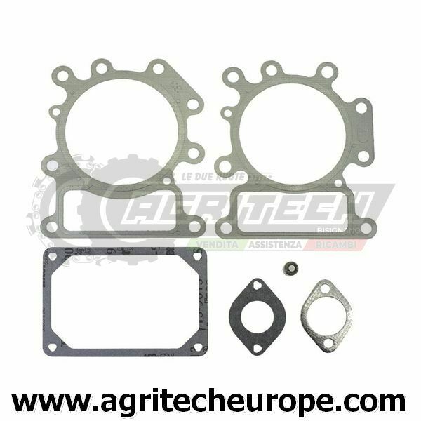 SERIE GUARNIZIONI BRIGGS & STRATTON EX 690190 320318