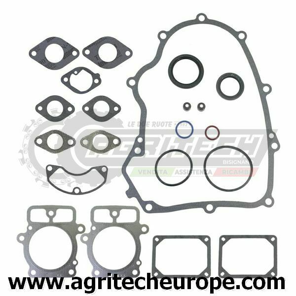 SERIE GUARNIZIONI BRIGGS & STRATTON GUARNIZIONI MOTORE