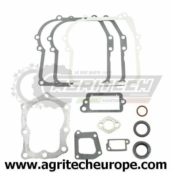 391662 SERIE GUARNIZIONI BRIGGS & STRATTON 4 HP VERTICALI 110900 113900 110700
