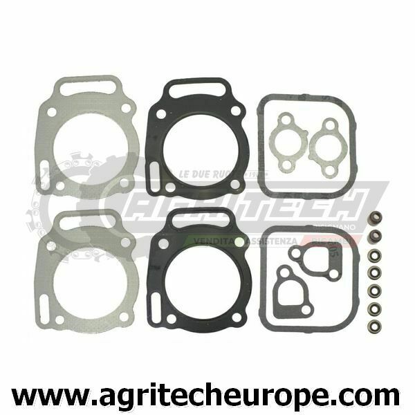 SERIE GUARNIZIONI BRIGGS & STRATTON testa V.12 16