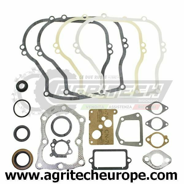 496659 297616 SERIE GUARNIZIONI BRIGGS & STRATTON Vecchi 5 HP verticali 130900