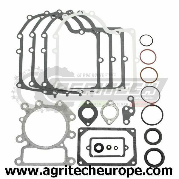 SERIE GUARNIZIONI BRIGGS & STRATTON 310700