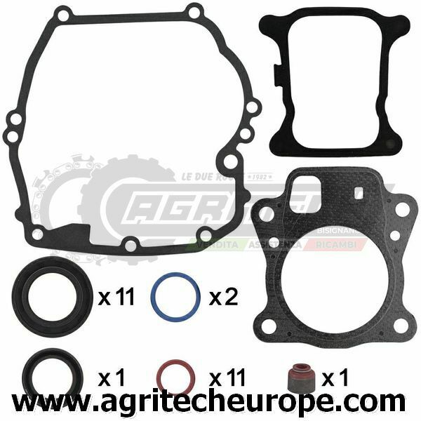 597320 SR GUARNIZIONI BRIGGS & STRATTON MTR VERT 800 8.5 8.75 OHV 115 123 124