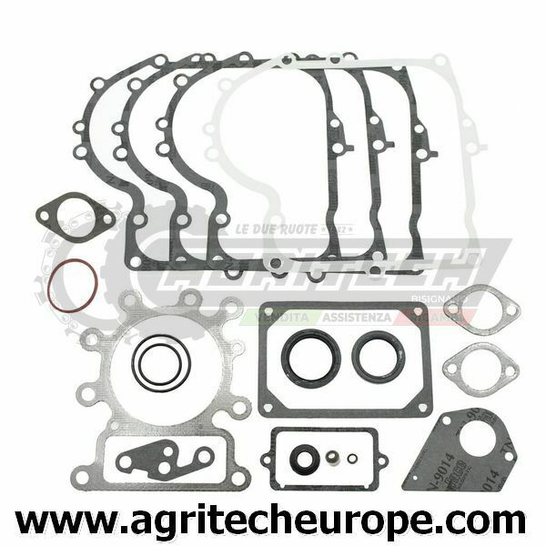 495993 SR GUARNIZIONI BRIGGS & STRATTON OHV mono verticale I C 287 28N 28P 28Q