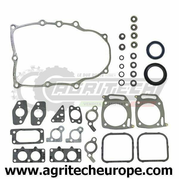 842658 808617 SERIE GUARNIZIONI BRIGGS & STRATTON Bicilindrico Vangu 380 381 385