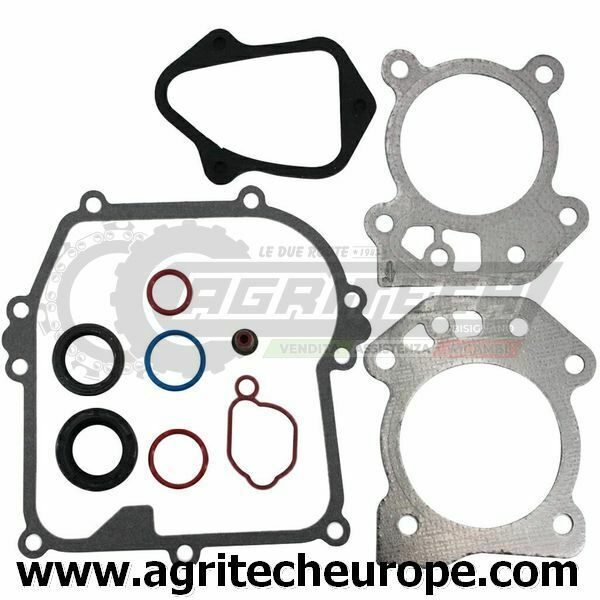 595350 592640 SERIE GUARNIZIONI BRIGGS & STRATTON 450 500 OHV 08 09P000