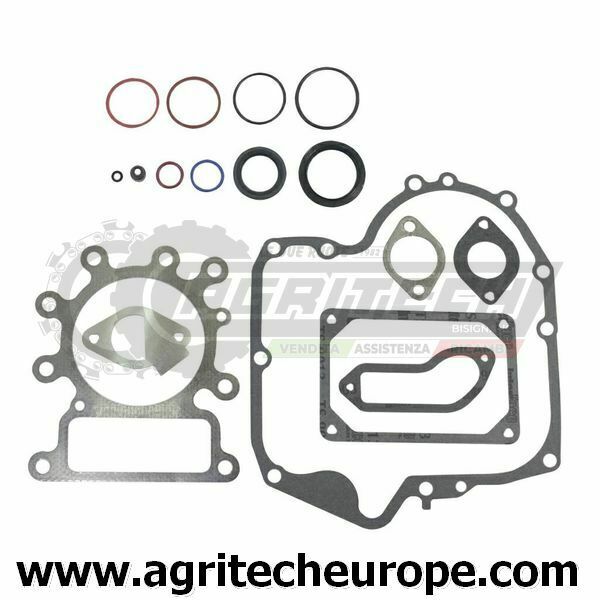 796181 697151 Serie guarnizioni OHV BRIGGS & STRATTON 12,5 13 13,5 800 900 MON