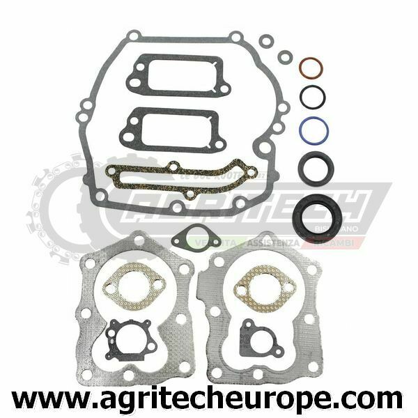 497316 794307 590508 SR GUARNIZIONI BRIGGS & STRATTON Quantum Power 12H800 XT