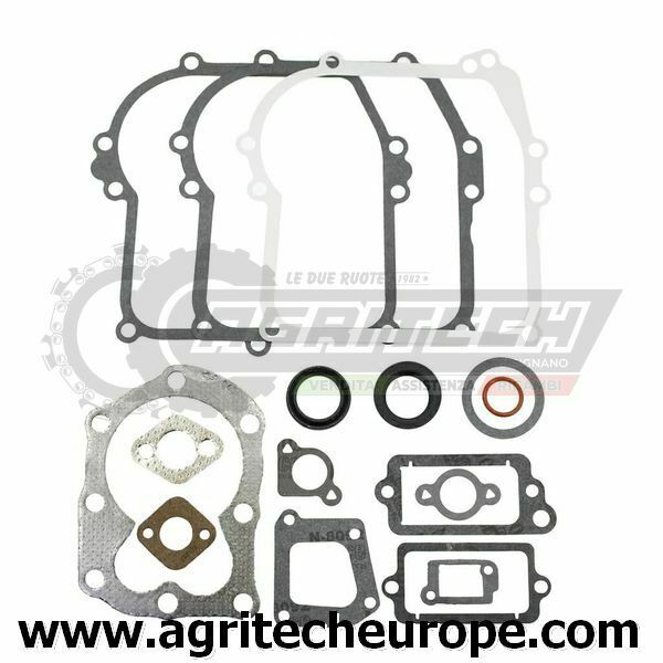 794209 699933 298989 590777 SR GUARNIZIONI BRIGGS & STRATTON MTR VERTI 3 3,5 HP