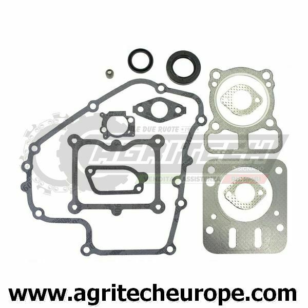 793623 SERIE GUARNIZIONI BRIGGS & STRATTON DOV 090600 100600 100800