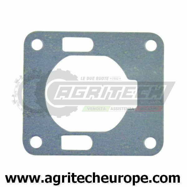 1E34F-3E-3 GUARNIZIONE BASE CILINDRO KASEI potatore QJB270
