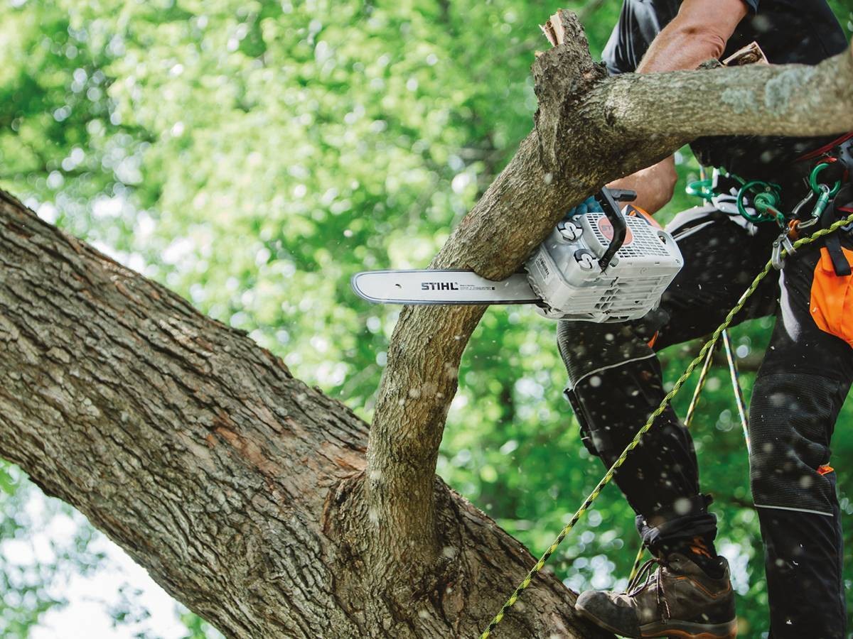 MOTOSEGA PER LA POTATURA STIHL MS151 TC-E LAMA 25cm
