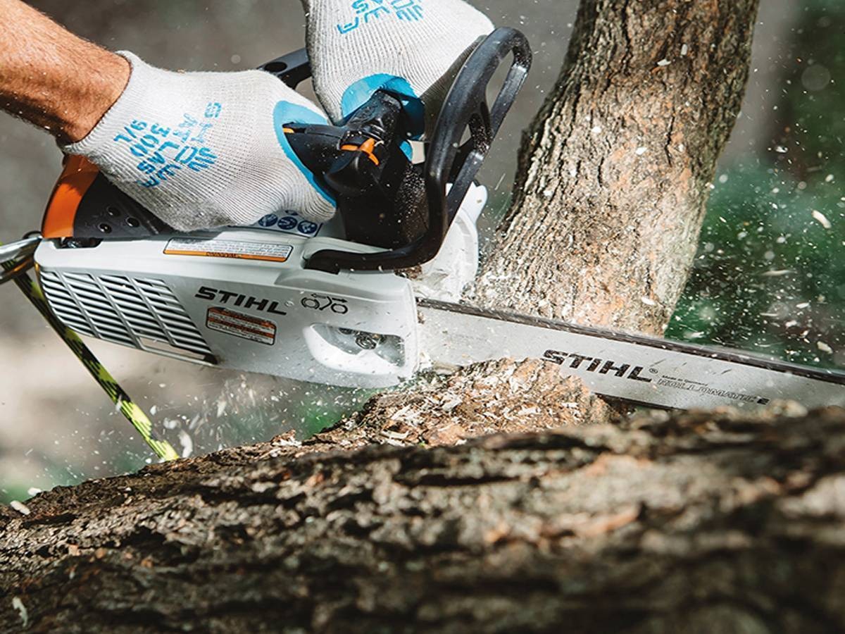 MOTOSEGA PER LA POTATURA STIHL MS151 TC-E LAMA 25cm