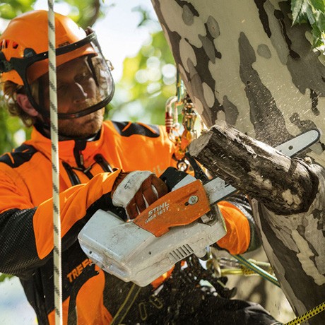 MOTOSEGA A BATTERIA PROFESSIONALE DA POTATURA STIHL MSA 161T Barra 25cm