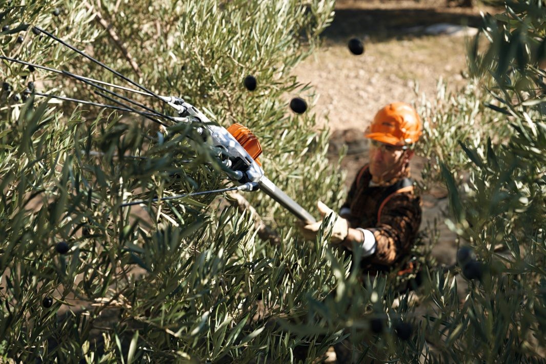 Abbacchiatore scuotitore a batteria Professionale Originale Stihl SPA 130