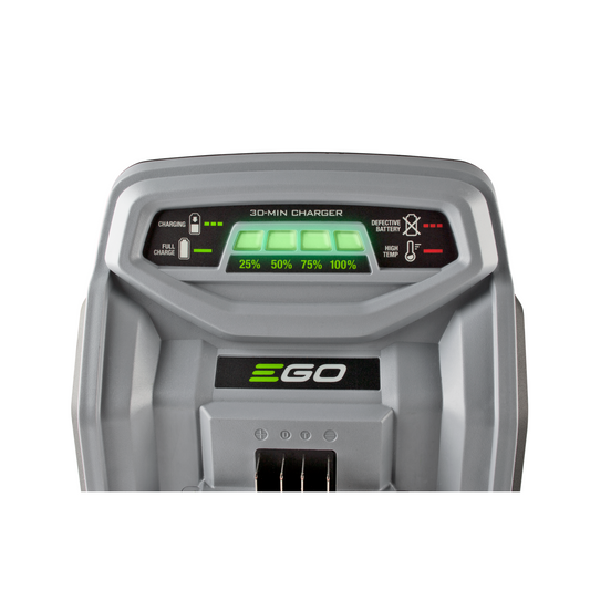 Caricabatterie rapido 550W per Batterie EGO POWER