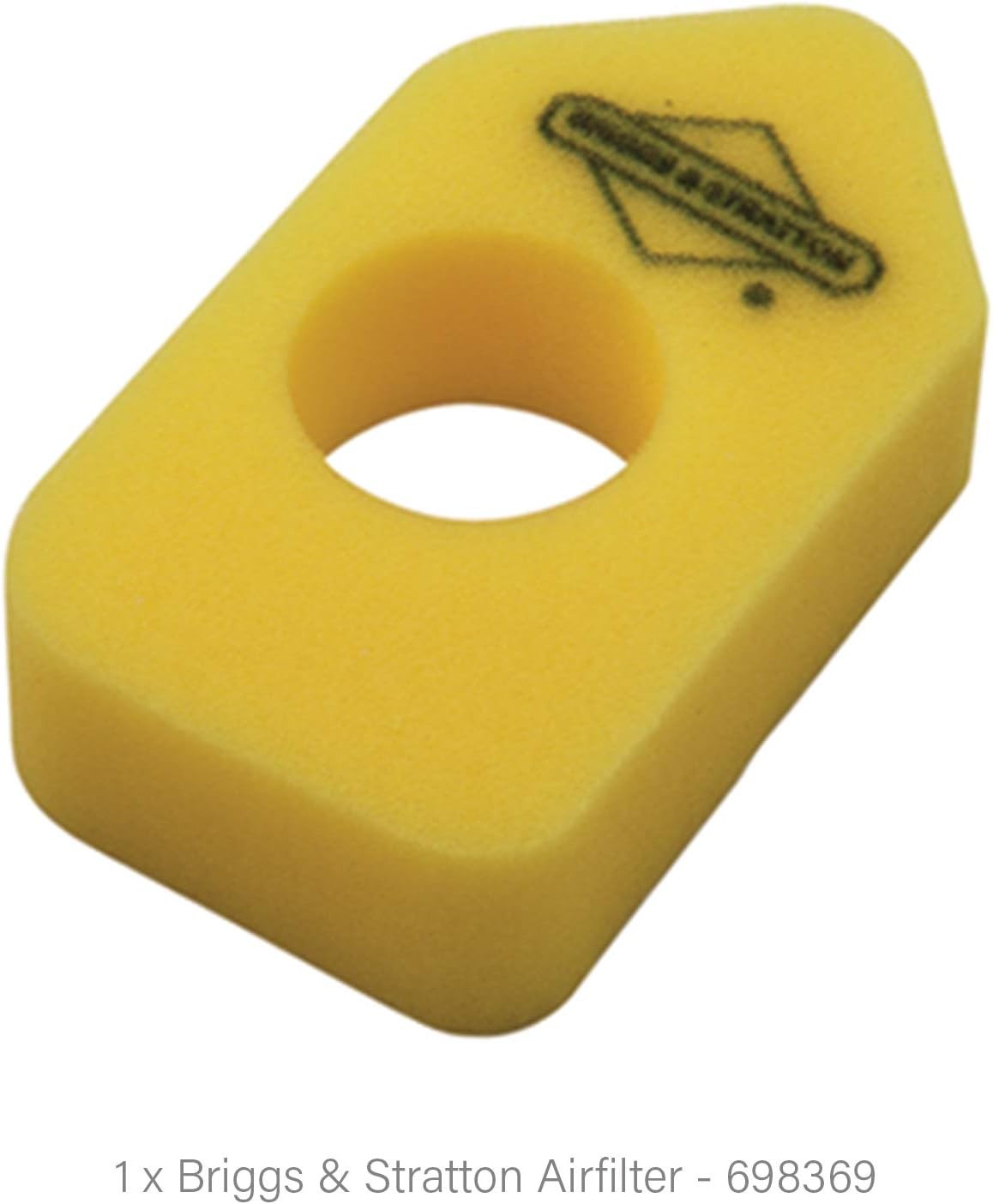 Kit Tagliando Service Kit Originale Briggs & Stratton 450 Series, 550 Series, Classic, Sprint
