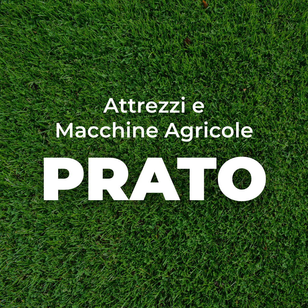 Prato
