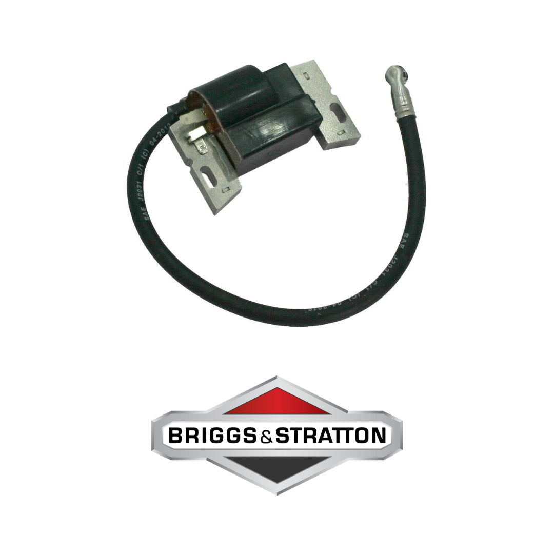 Bobine Motori BRIGGS & STRATTON