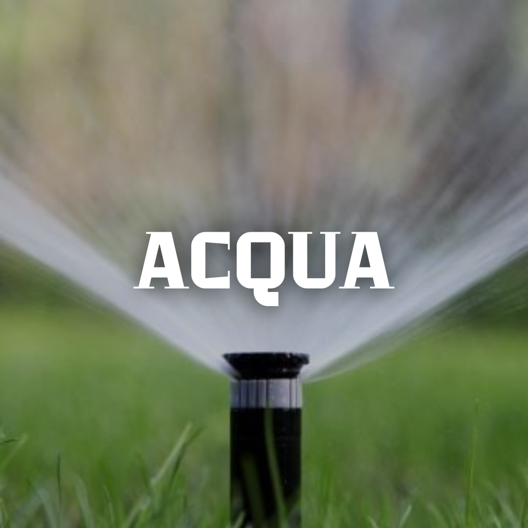 ACQUA