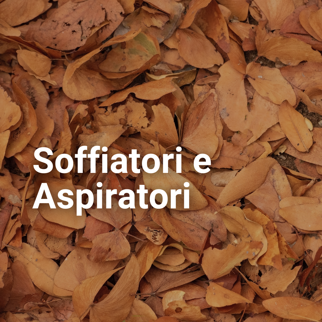 Soffiatori / Aspiratori