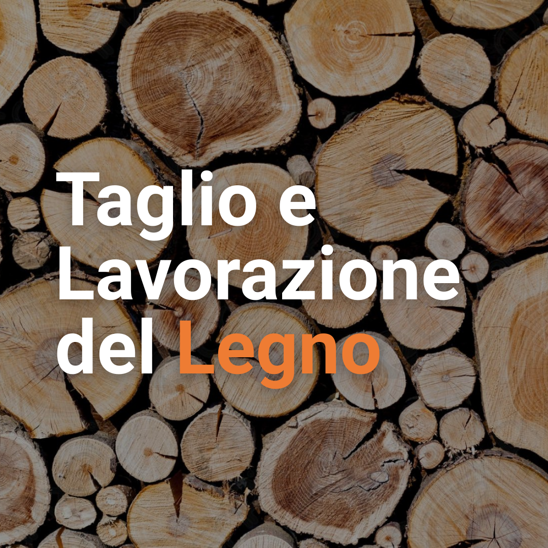 TAGLIO E LAVORAZIONE DEL LEGNO