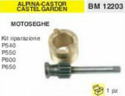 POMPA OLIO MOTOSEGA ALPINA CASTOR CASTELGARDEN P540 P550 P600 P650 KIT RIPARA