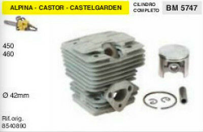 8540890 CILINDRO E PISTONE MOTOSEGA ALPINA CASTOR CASTELGARDEN 450 460 Ø 42 mm