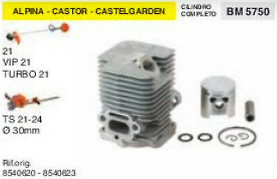 CILINDRO E PISTONE TAGLIASIEPI ALPINA CASTOR CASTELGARDEN TS21 TS 24 Ø 30 mm