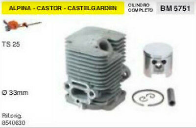 8540630 CILINDRO E PISTONE TAGLIASIEPI ALPINA CASTOR CASTELGARDEN TS25 Ø 33 mm