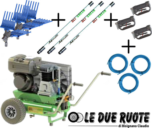 KIT ABBACCHIATORE DIESEL LOMBARDINI + 3 ASTA + 3 PETTINE + 3 TUBO MINELLI olive