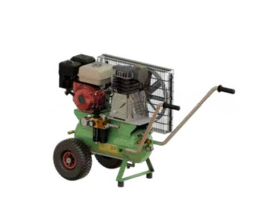 MOTO COMPRESSORE ABBACCHIATORE OLIVE POTA MINELLI ENERCOMP55/24 HONDA GP160