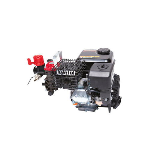 MOTOPOMPA A SCOPPIO MOTORE RATO R210 4T 5HP 25L/M POMPA AR202 25BAR 21,5KG