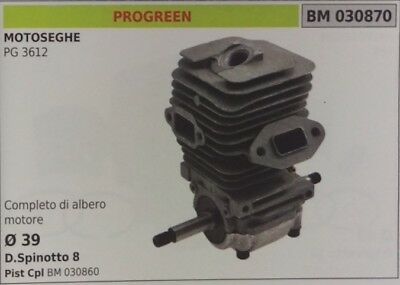 CILINDRO E PISTONE COMPLETO ALBERO MOTORE MOTOSEGA PROGREEN PG 3612 Ø 39