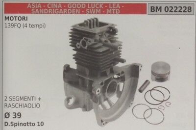 CILINDRO COMPL PISTONE MOTORE importazione cinese SANDRIGARDEN 139 FQ 4T