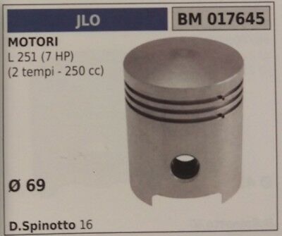PISTONE COMPLETO DI SEGMENTI E SPIN MOTORE JLO L 251 (2T 250cc 7HP) Ø 69