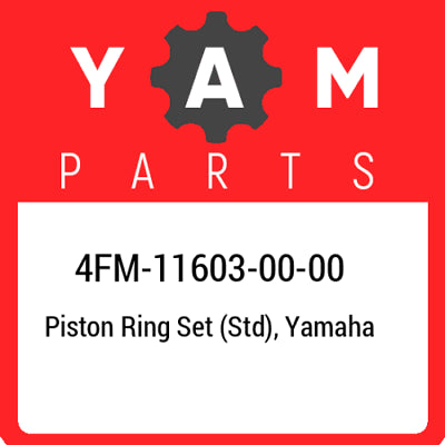 4FM-11603-00 FASCE ELASTICHE RASCHIAOLIO KIT SEGMENTI ORIGINALE YAMAHA YZF750