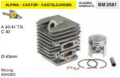 CILINDRO E PISTONE MOTOSEGA ALPINA CASTOR CASTELGARDEN A 40 41 TN Ø 4