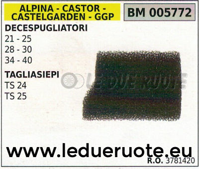 3781420 FILTRO ARIA TAGLIASIEPI TOSASIEPE ALPINA CASTOR CASTELGARDEN TS 24 25