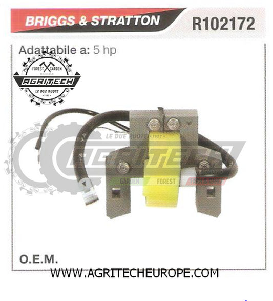 R102172 BOBINA ELETTRONICA CENTRALINA BRIGGS & STRATTON  MOTORE  5-HP