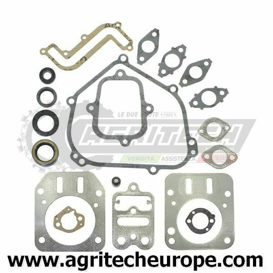 791797 SERIE GUARNIZIONI BRIGGS & STRATTON OHV MONOCI ORIZZ 200 300