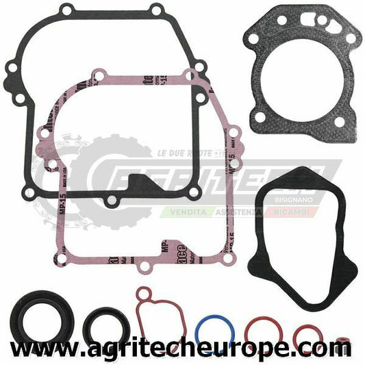595354 SR GUARNIZIONI BRIGGS & STRATTON MTR VERT RASAERBA 650 675 E EXI IS